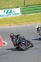 enduro-digital-images;event-digital-images;eventdigitalimages;mallory-park;mallory-park-photographs;mallory-park-trackday;mallory-park-trackday-photographs;no-limits-trackdays;peter-wileman-photography;racing-digital-images;trackday-digital-images;trackday-photos
